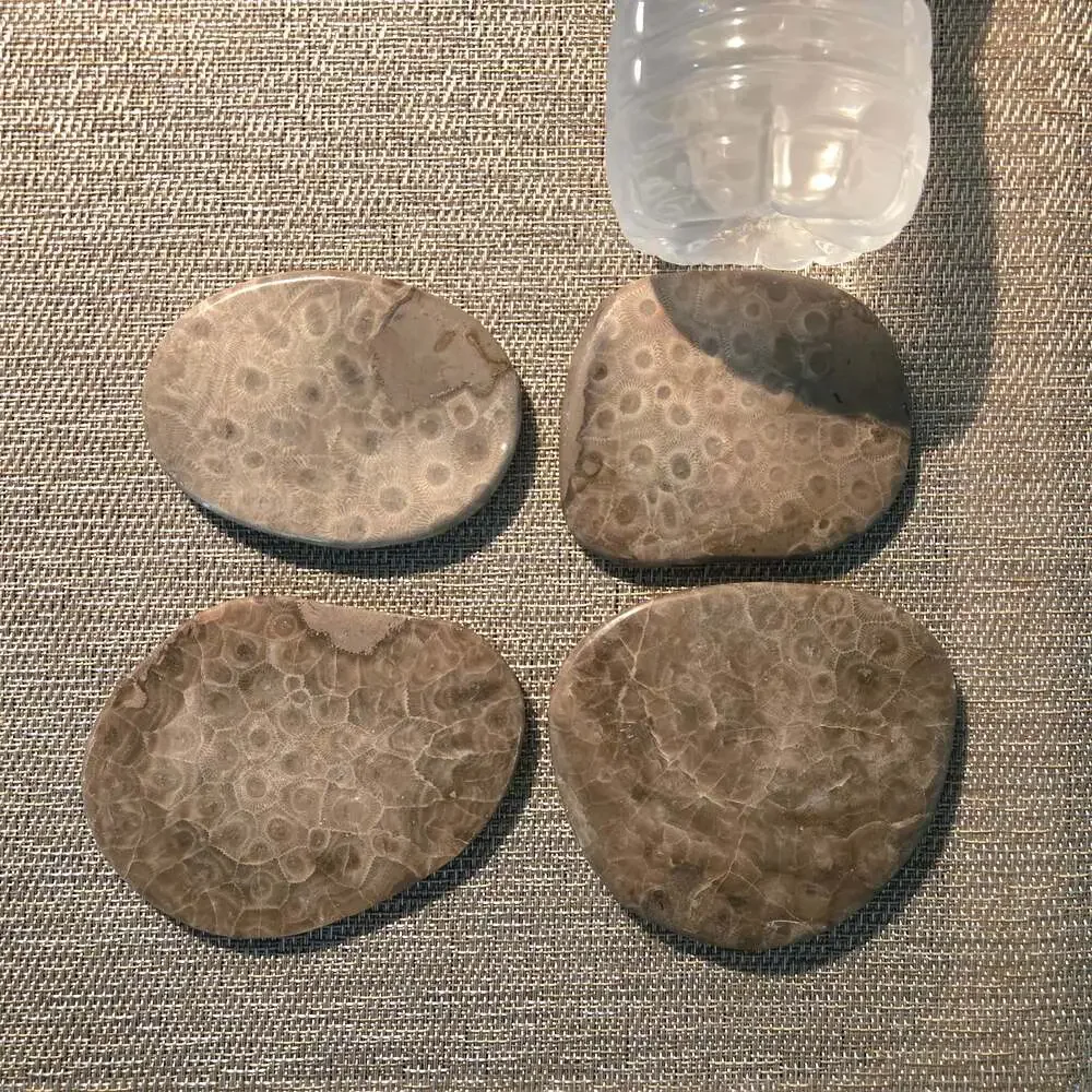 Set of 4 Polished Petoskey Stone Fossil Coral Drink Coasters with Cork Backing